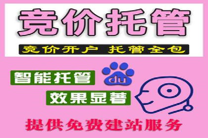 SEM营销推广实战案例：揭秘成功之道